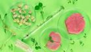 لحوم وحليب بدون أبقار.. هل جرّبت أطعمة المعامل؟ 