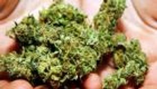 سقوط عصابة "الهيدرو" في مصر.. ضبط 300 كجم مع 3 أشقاء