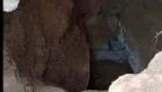 صدمة في اليمن.. نبش قبر وسرقة جثة بحثا عن "الذهب"