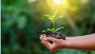 قبل ساعات من مؤتمر المناخ في مصر.. كيف تكون صديقا للبيئة؟