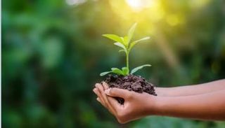 الحفاظ على البيئة يساعد في حل أزمة المناخ- تعبيرية
