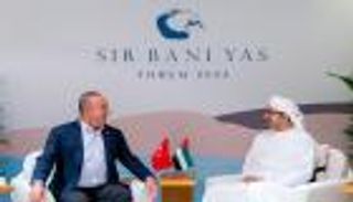 يوم دبلوماسي مكثف لـ"عبدالله بن زايد".. مباحثات مع 5 دول (صور)