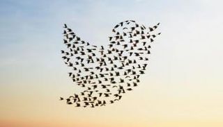 تضرر تويتر من سياسات ماسك