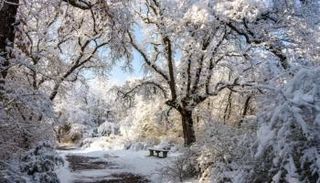 الشتاء في أوروبا - أرشيفية