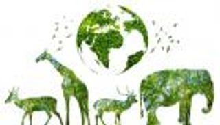 هل يبقى البشر أحياء إذا انقرضت جميع الحيوانات؟ علماء يجيبون