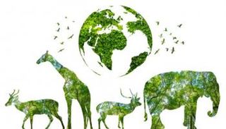 بعض حيوانات الأرض