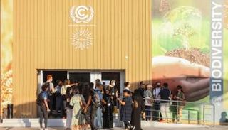 مقر انعقاد مؤتمر المناخ في شرم الشيخ