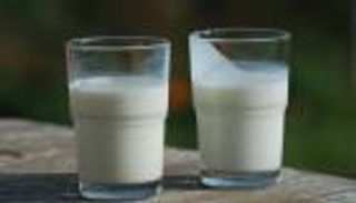 نقص في الألبان بالمغرب.. الحكومة تعد بزيادة الكميات 