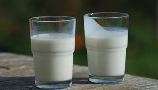 الحكومة المغربية تبحث عن حلول لنقص الألبان - تعبيرية