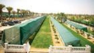 الإمارات.. مركز عالمي للابتكار الزراعي من أجل المناخ