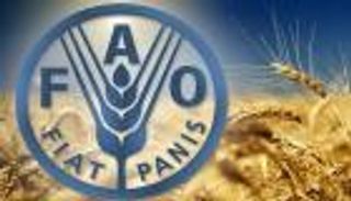 "فاو" تطلق مشروعا لتعزيز التكيف مع تغير المناخ في الأردن