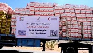 جانب من المساعدات الإماراتية