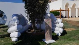 صورة من داخل المنطقة الخضراء بقمة المناخ لحماية الأشجار