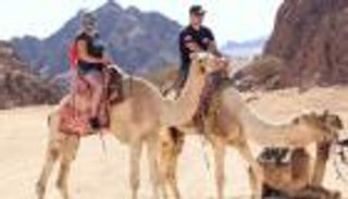 سياحة السفاري في شرم الشيخ.. متعة استثنائية في صحراء سيناء