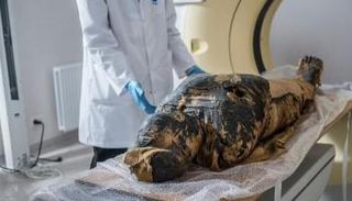 المومياء المصرية - أرشيفية