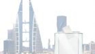 بالأرقام.. كل ما تريد معرفته عن انتخابات البحرين