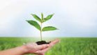 "الابتكار الزراعي".. مبادرة الإمارات وأمريكا تتصدر استثمارات المناخ المليارية في COP27