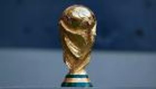 حيوانات وطيور وشياطين.. تعرف على ألقاب منتخبات كأس العالم 2022