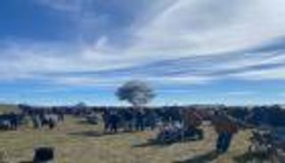 اصطدام طائرتين أمريكيتين خلال عرض جوي في تكساس