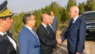 قيس سعيد في زيارة لجبل بوقرنين بضواحي العاصمة تونس