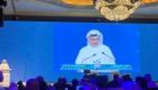 قرقاش يعرض السياسة الخارجية للإمارات في 8 مبادئ
