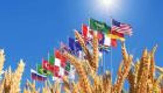 روسيا تفرض حضورها في قمة العشرين.. من بوابة الغذاء