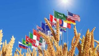 روسيا تفرض حضورها في قمة العشرين.. من بوابة الغذاء