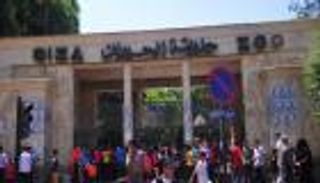 لتصبح مركزا ترفيهيا.. مصر تستعد لخطة تطوير حديقتي الحيوان والأورمان