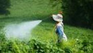 "هذا يخيفني".. أمريكي يقدم بلاغا ضد طفلة بسبب رش الحشرات