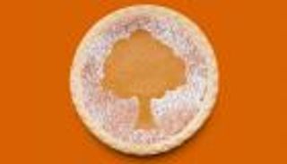 صديق للبيئة.. الديك الرومي يهزم البرجر في عيد الشكر