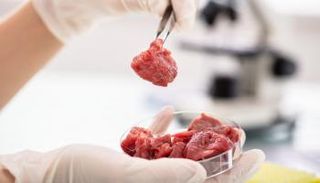 لحوم مزروعة في المختبر - أرشيفية