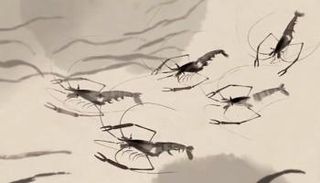 ريشة تشي باي شي