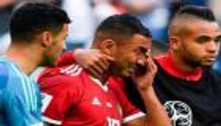 كأس العالم 2022.. زرافة تصدم أسود المغرب قبل مواجهة كرواتيا (فيديو)