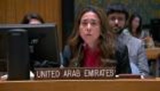 الإمارات أمام مجلس الأمن: نشعر بقلق بالغ إزاء "قصف زابوريجيا"