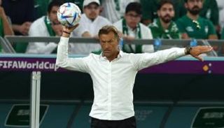 هيرفي رينارد 