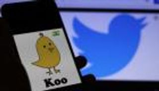 كوو VS تويتر.. الطائر الأصفر يسحق العصفور الأزرق في بلاد السامبا