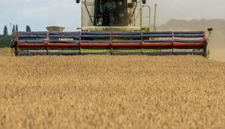 حصاد محصول القمح في حقل بالقرب كييف بأوكرانيا - رويترز