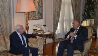 سامح شكري ورياض المالكي (الخارجية المصرية)