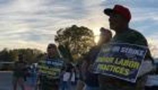 أطول إضراب في تاريخ ألاباما.. قصة "غريبة" لـ500 عامل بقطاع الفحم الأمريكي 