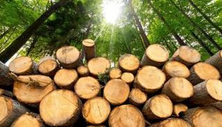 النظام البيئي