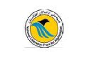 "جبهة التحرير الوطنية".. فصيل جديد يرفع لواء العصيان ضد طالبان