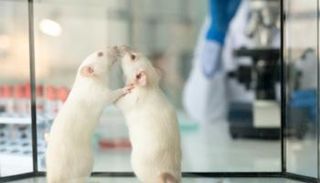 صورة نشرها موقع 