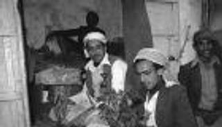 مونديال قطر يرفع أسعار القات في اليمن لمستوى قياسي