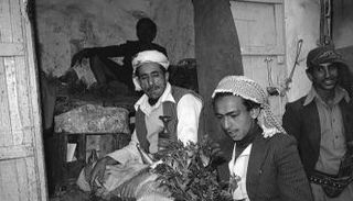 المونديال ضاعف استهلاك وأسعار القات في اليمن