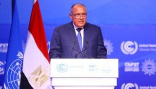 سامح شكري وزير الخارجية المصري