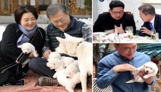 كيم ومون تمتعا بعلاقات طيبة قادت لتهدئة بين الكوريتين - أرشيفية