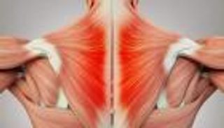 روبوتات مستقبلية مرعبة.. عضلاتها أقوى من الإنسان 17 مرة