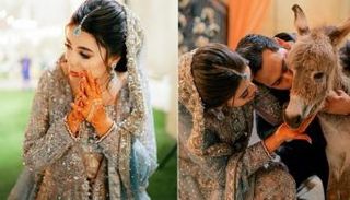 عريس يهدي زوجته حمارا صغيرا في حفل زفافهما