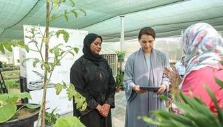 إطلاق تطبيق هاتفي يعمل بالذكاء الاصطناعي للكشف عن اضطرابات المحاصيل