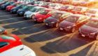 بعد توقف عمليات بيع السيارات.. هل تتدخل الحكومة المصرية؟